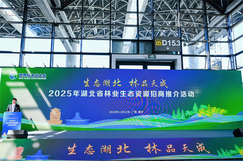 图片19.png